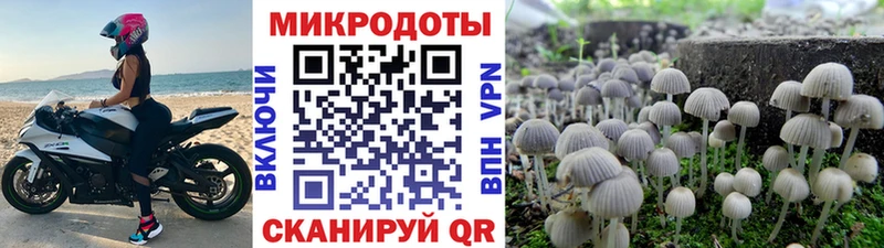 Псилоцибиновые грибы MAGIC MUSHROOMS  Красавино 